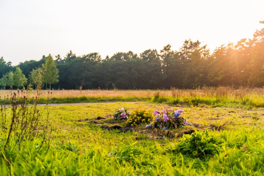 Begraven Natuurlijk begraven of natuurbegraven?