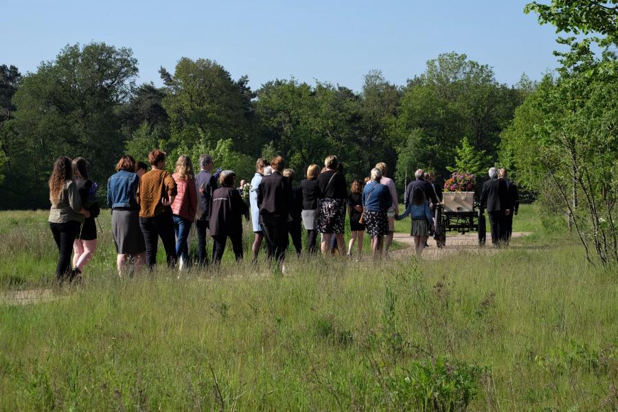Begraven FAQ: Is natuurbegraven duurder dan traditioneel begraven ...